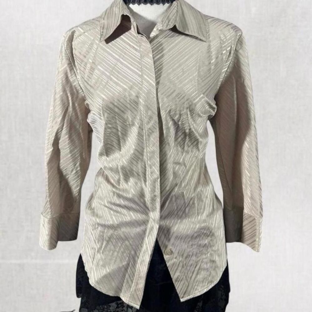 Office Siren Sheer Long Sleeve Button Up Shimmer Top